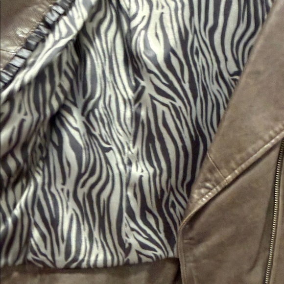 Mackage Dark Brown Leather Moto Jacket - Picture 7 of 10